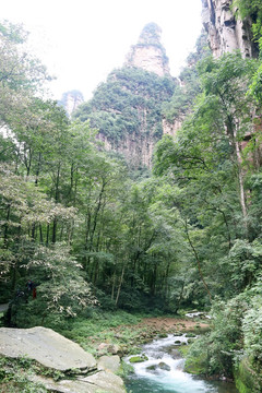 高山小河流