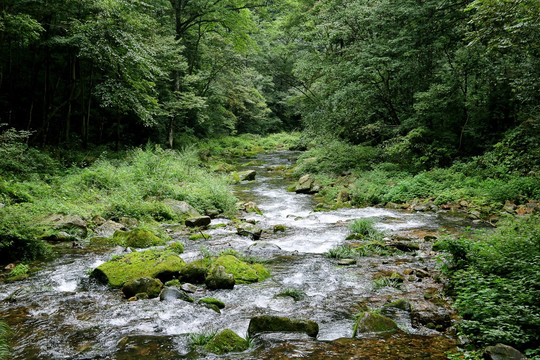 小溪流水