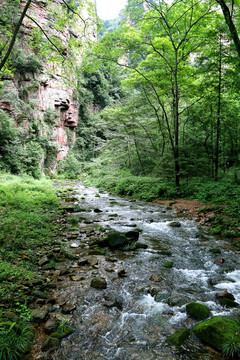 小溪流水