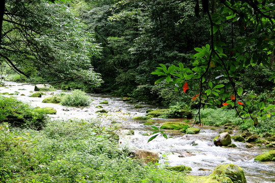 小溪流水