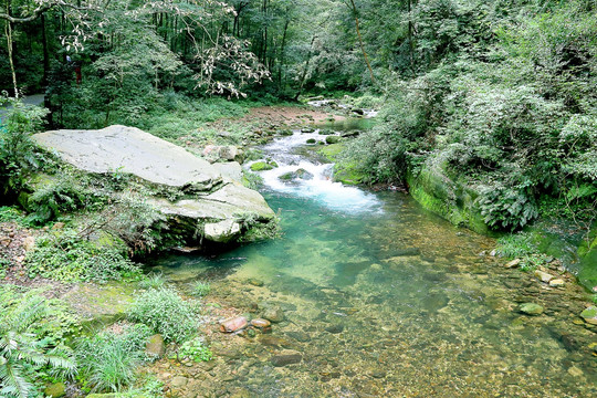 小溪流水