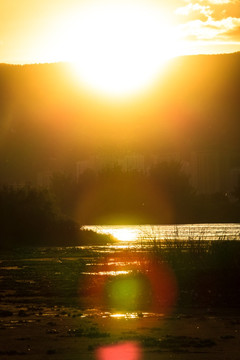 夕阳下滇池湿地光晕