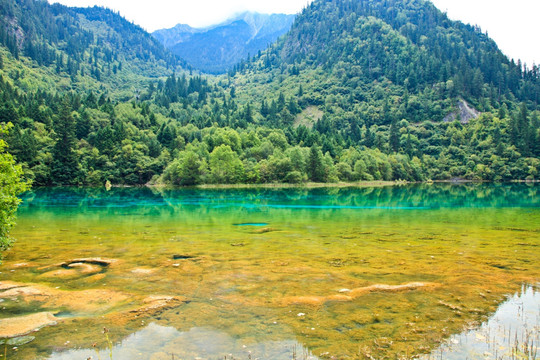 九寨沟风光 九寨沟的水