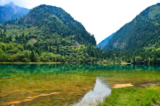 九寨沟风光 九寨沟的水