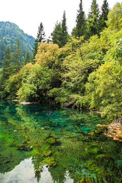 九寨沟 湖光山色