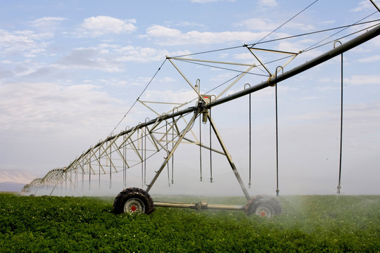西部灌溉农业