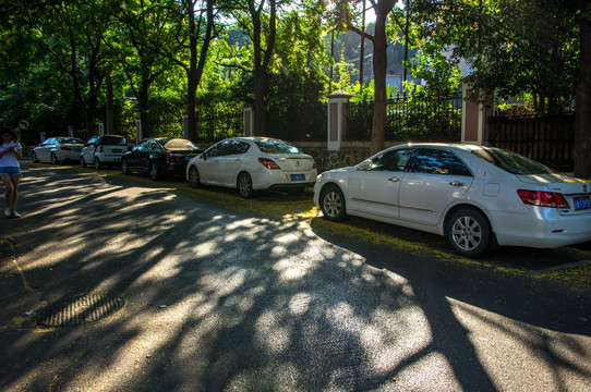 阳光林荫道路边停车场