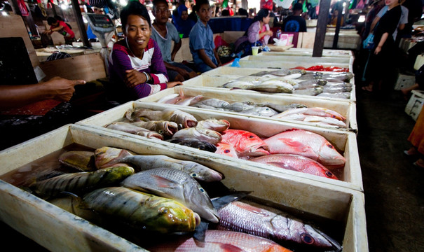 鱼市 鱼市场