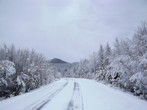 大兴安岭森林雪景