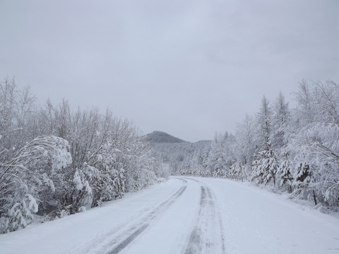 大兴安岭森林雪景