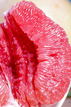红肉柚子