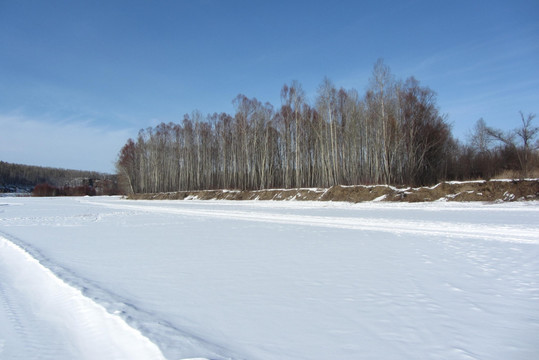 大兴安岭 冬天 林海 雪景 寒