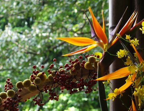 插花