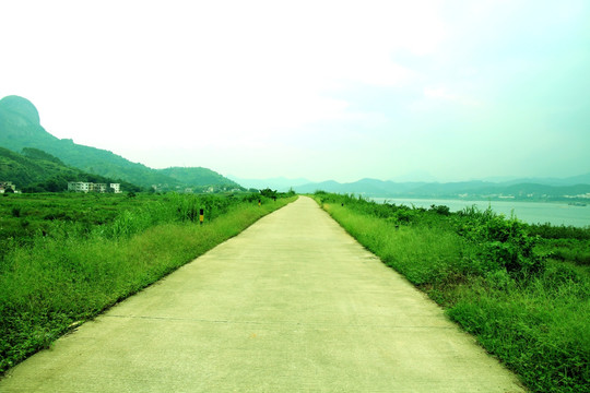 乡村公路 公路道路 农村公路