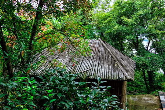 民宿小屋 树木小屋