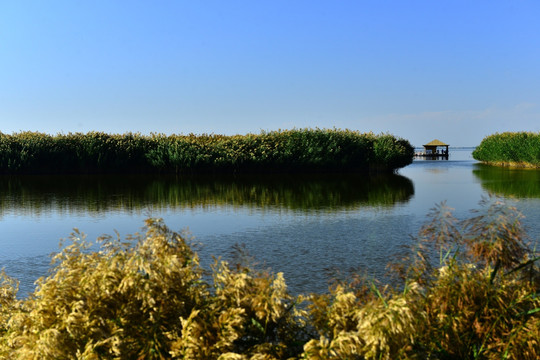 乌梁素海自然保护区