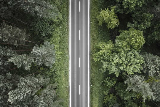 森林公路