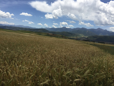 门源 祁连山 大坂山