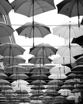 街景伞