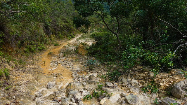 旅行 攀登 山路