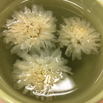 菊花茶