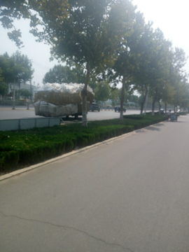 道路上的车