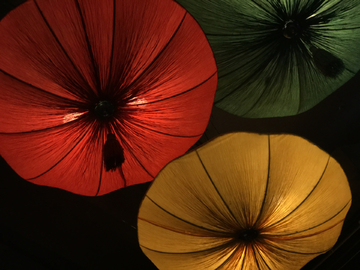 彩色花伞