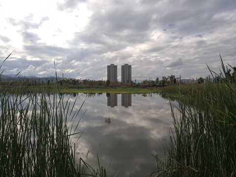 石屏异龙湖湿地