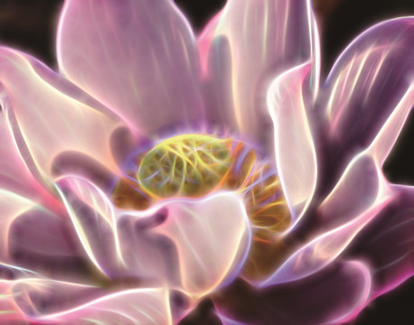荷花装饰画