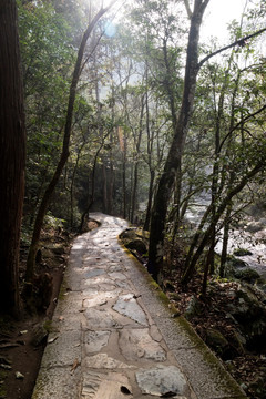 山林小道