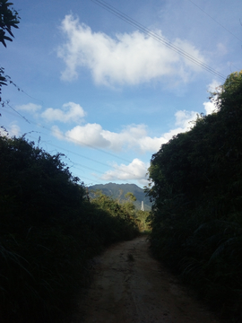 山间土路