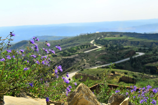 盘山路