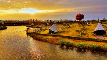 秋色 河畔 灿烂 夕阳