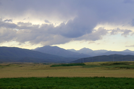 山区麦田