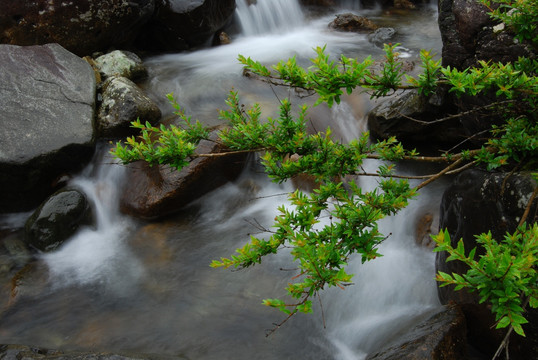 下嵊铁坑溪 （12）