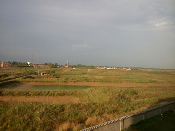 田野