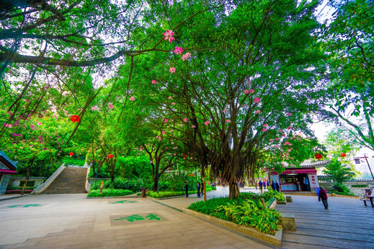 惠州西湖风景区