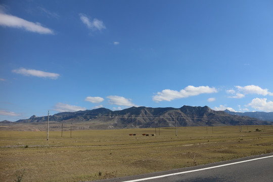 金秋田野