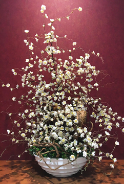 花卉