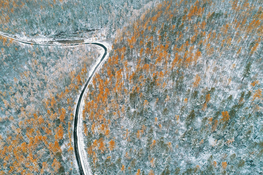 秋季林海雪景 航拍