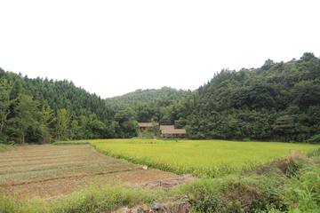 山间农家