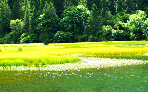 九寨沟