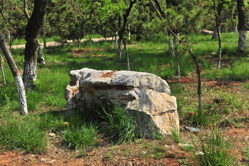 石头 园林石