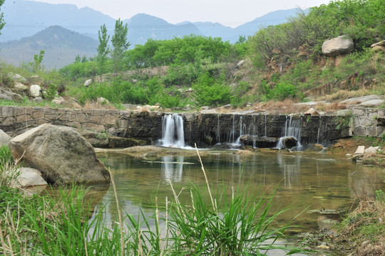 清泉  山泉水