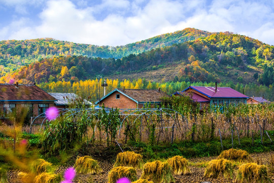 东北山村 山村风光