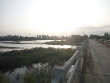 引黄济青河段