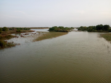 引黄济青河段