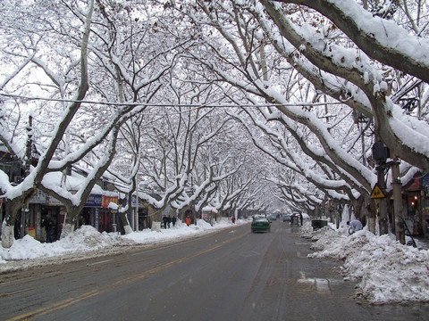 南京梧桐大道雪景