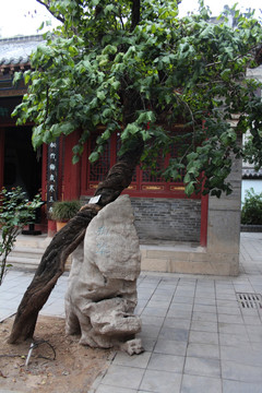 奇石拢翠