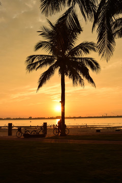 日出 阳光 夏天 景观 海边